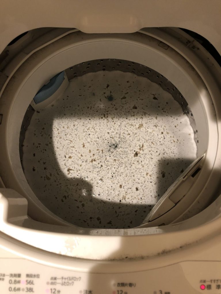 洗濯槽のワカメがなくならない時は酸素系漂白剤を入れるだけではダメ ちょぺろぐ 洗濯槽のワカメがなくならない時は酸素系漂白剤を入れるだけではダメ ちょぺろぐ